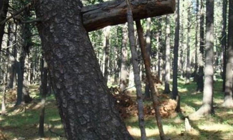 Самарт яваад сураггүй алга болсон иргэнийг эрэн хайж байна